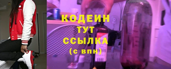 прущие крисы Няндома