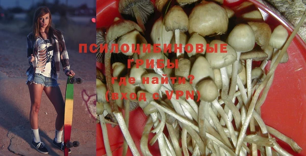 крисы Нягань