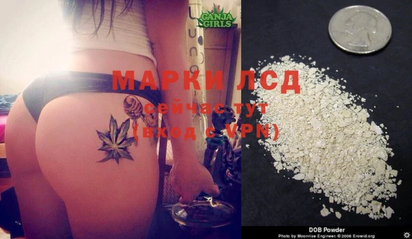 прущие крисы Няндома